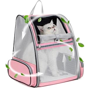 backpack cats