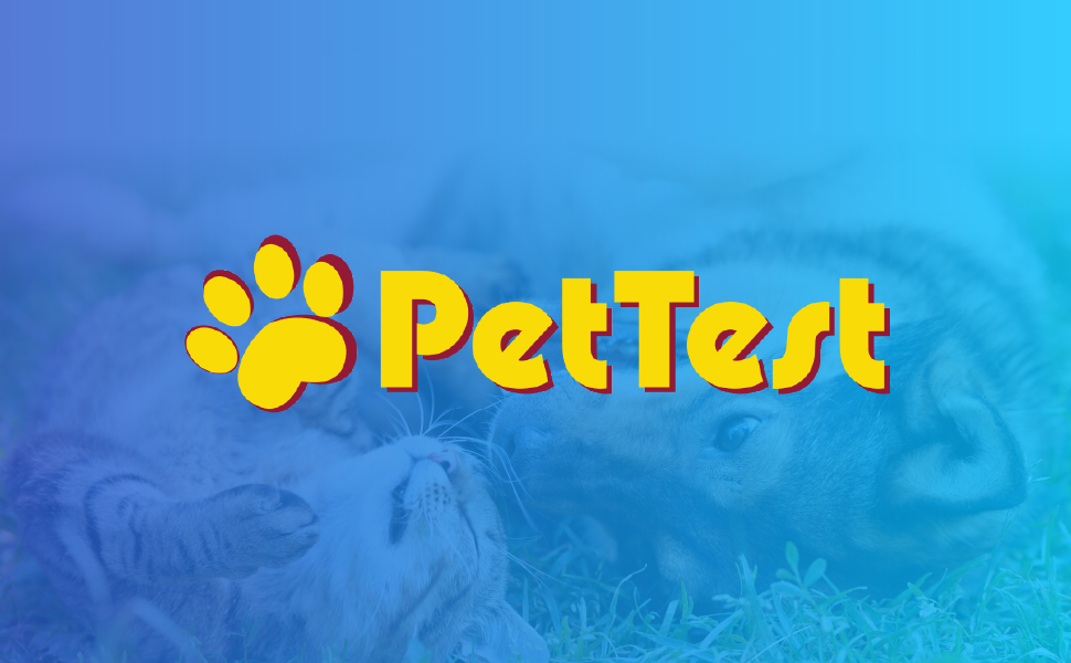 pet glucose monitoring diabetes cats dogs cat dog