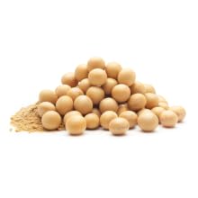 Fermented Soy Powder