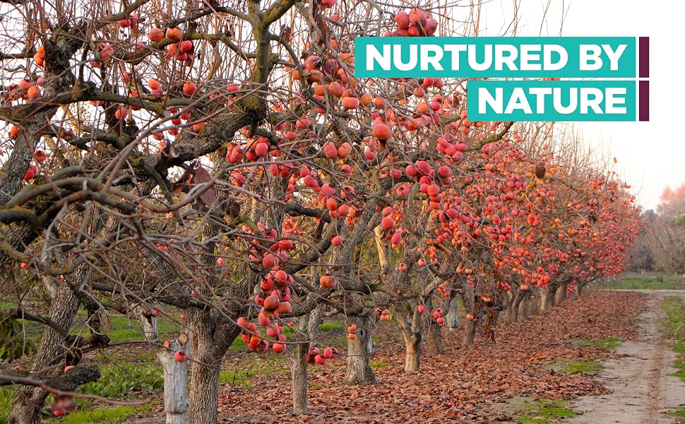 Nurtured by Nature