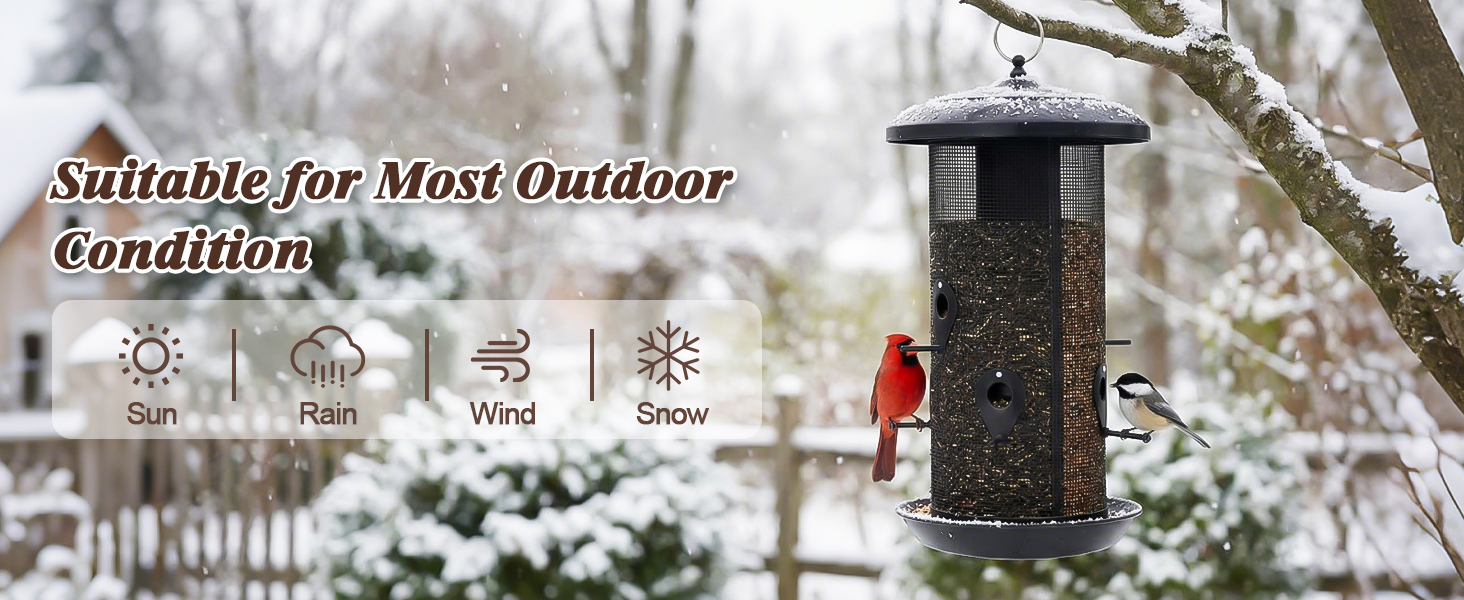 bird feeder
