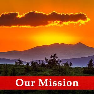 divine bounty mission