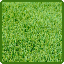 Soft &amp;amp; Fine Texture Perennial Ryegrass Lawn Seed