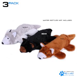Max and Neo Water Bottle Toys