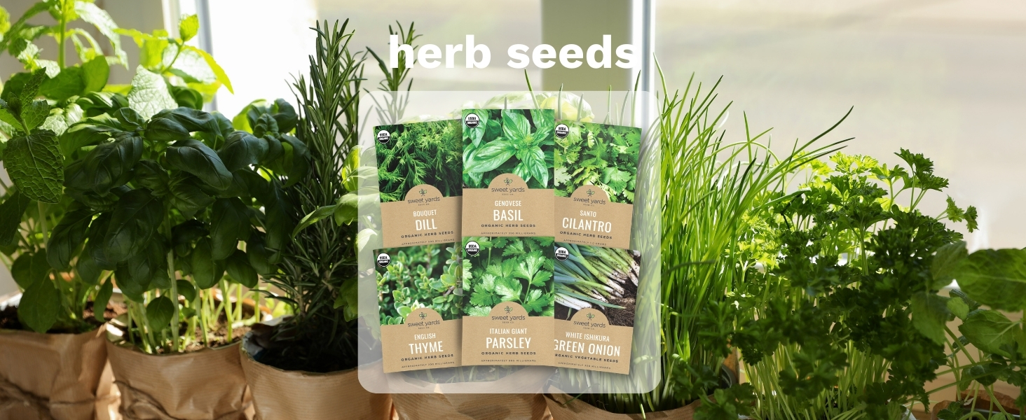 herb seeds