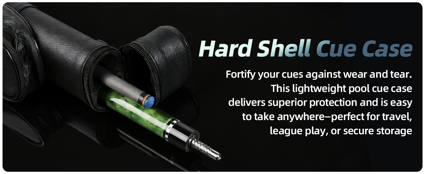 pool cue case