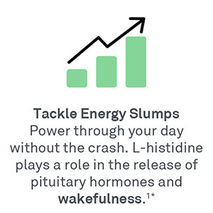 Energy Support