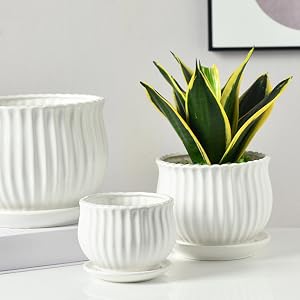 Modern Round Ceramic Succulent Planter Pots