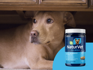 NaturVet Calming