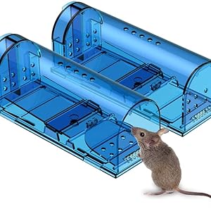 Humane mouse Traps
