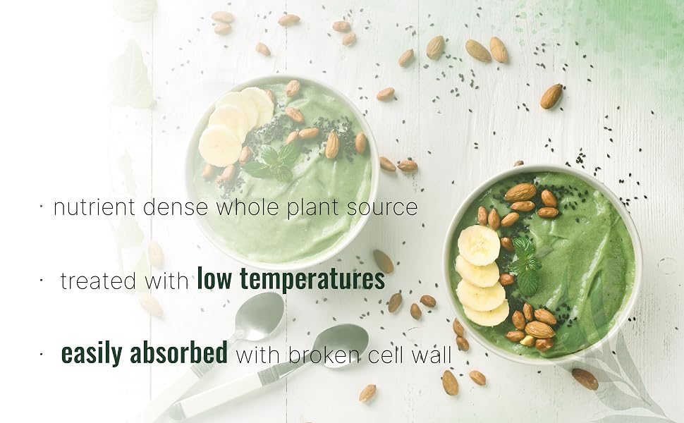 Chlorella 20