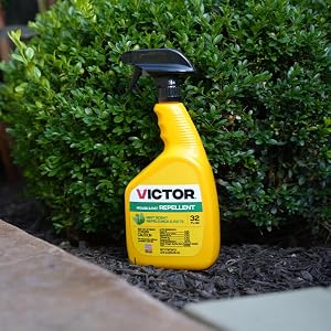 mouse repellent, rat repellent, repellent spray, spray repellent, repels mice, repels rats
