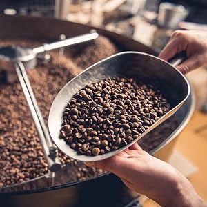 arabica beans