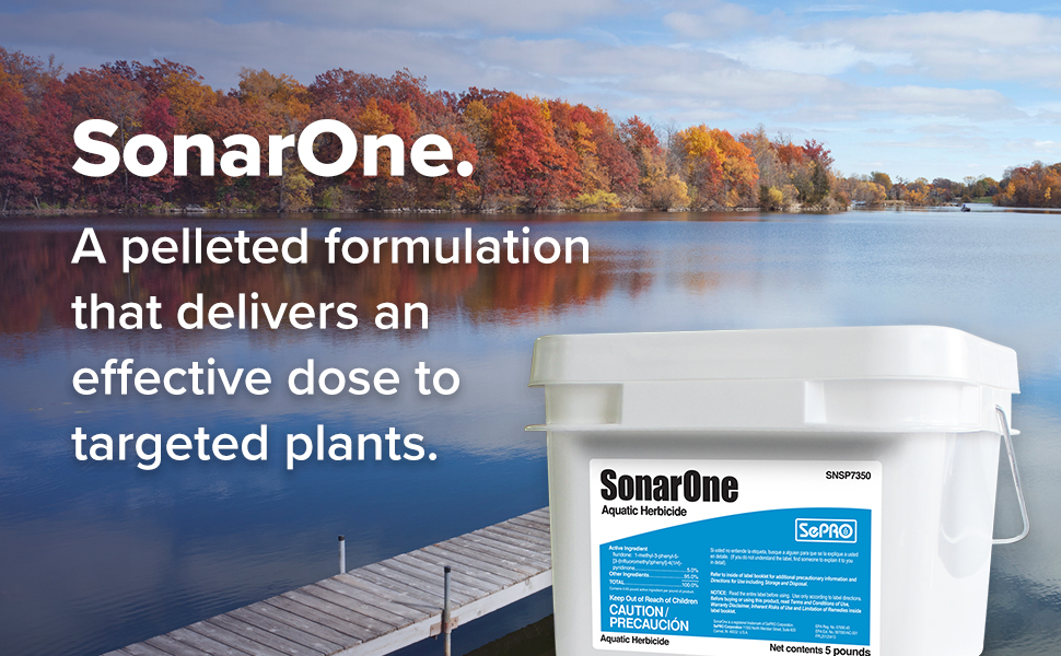 SonarOne overlaying fall pond