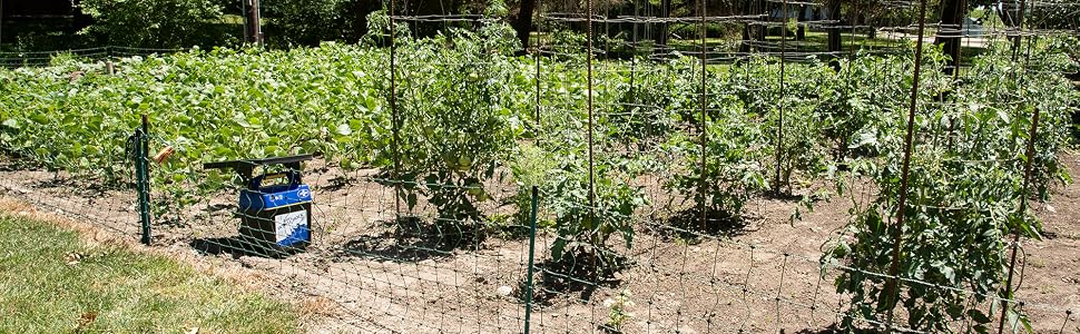 garden fence energizer premier