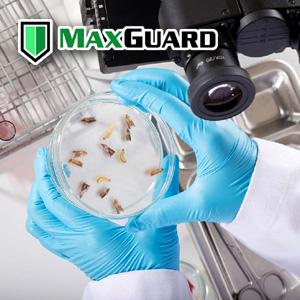 MaxGuard Logo
