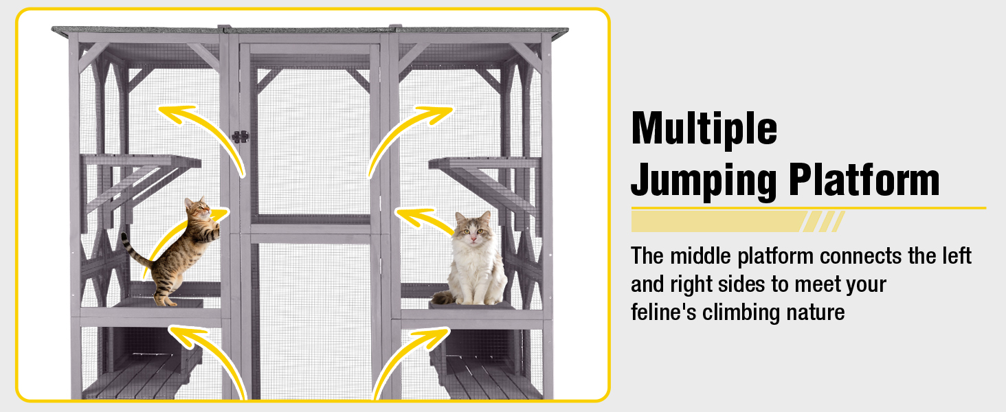 catio