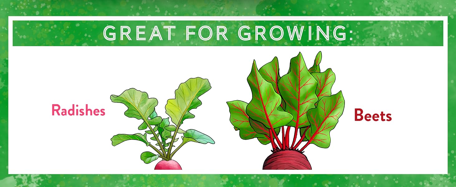 Veg Garden 3d