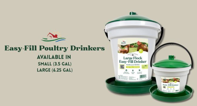easy-fill poultry drinkers