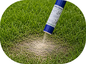 A tube dispenser sprinkling milky spore onto grass