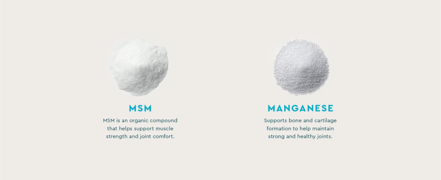 MSM manganese benefits for dogs