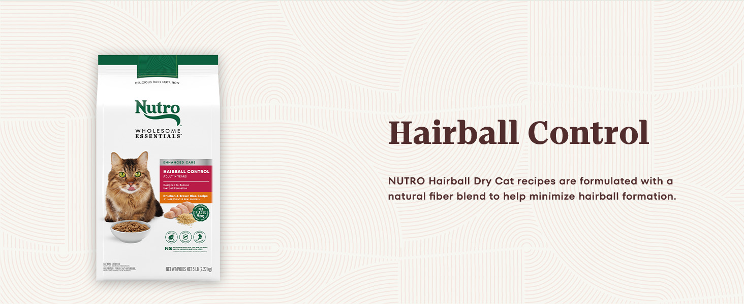 nutro dry cat
