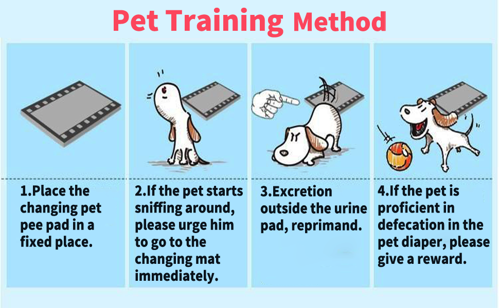 Quick-Dry Surface for Puppy