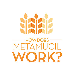 MetaMucil Fiber