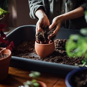 organic potting soil indoor plants