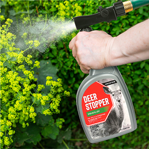 Deer Stopper Product In Use Hose End
