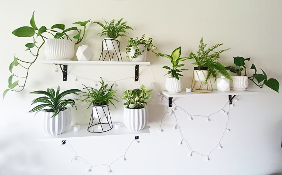 Ceramic Flower Plant Pots
