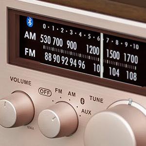 AM / FM Analog Tuning Radio