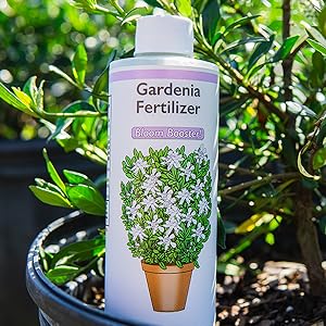 bloom booster gardenia fertilizer
