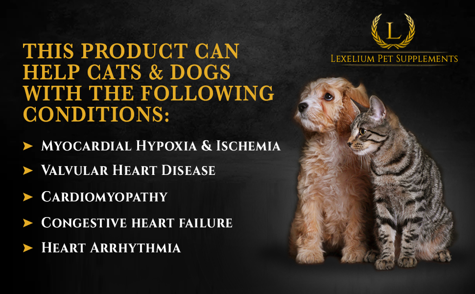 cat heart supplement canine powder vitamins taurine supplement for cats health pet supplements