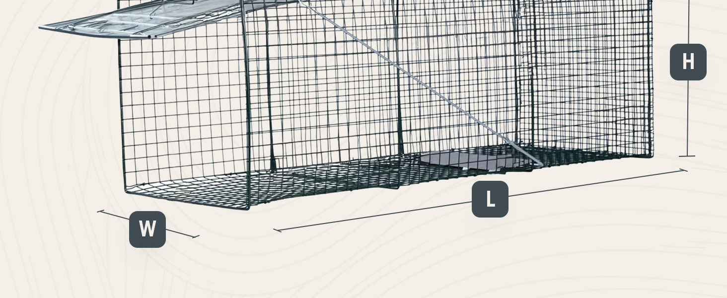 A small metal cage featuring a secure metal door, designed for containing small animals or objects.