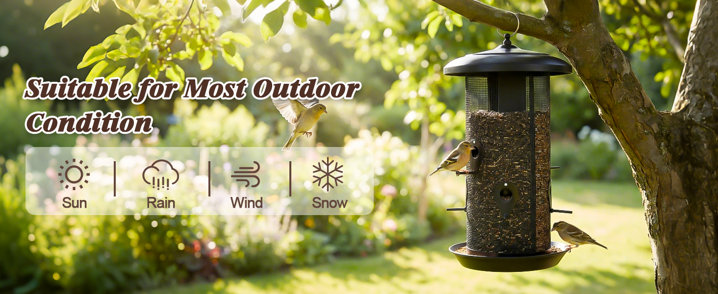 bird feeder
