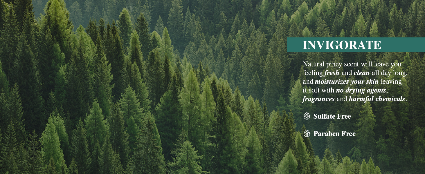 Walk through the serene pines and feel nature's tranquility.