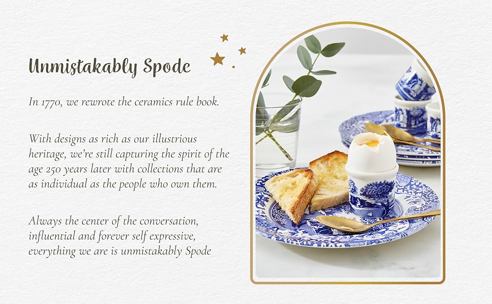 spode dnnerware