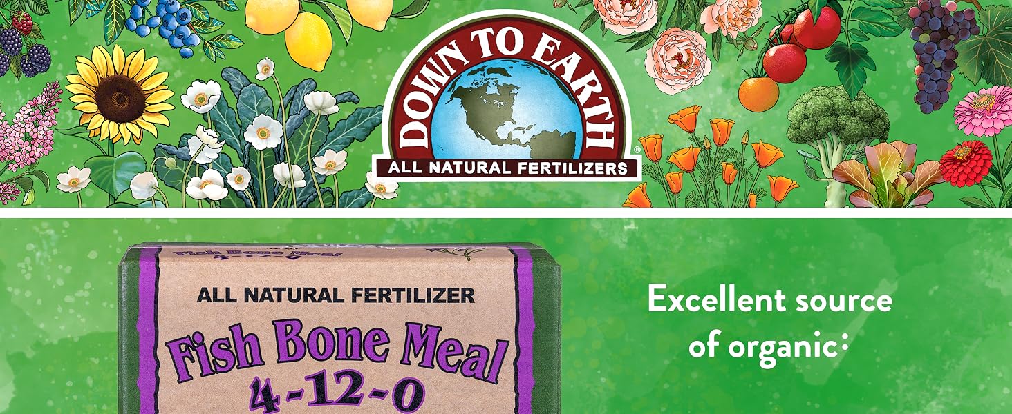 Fish Bone Meal 1