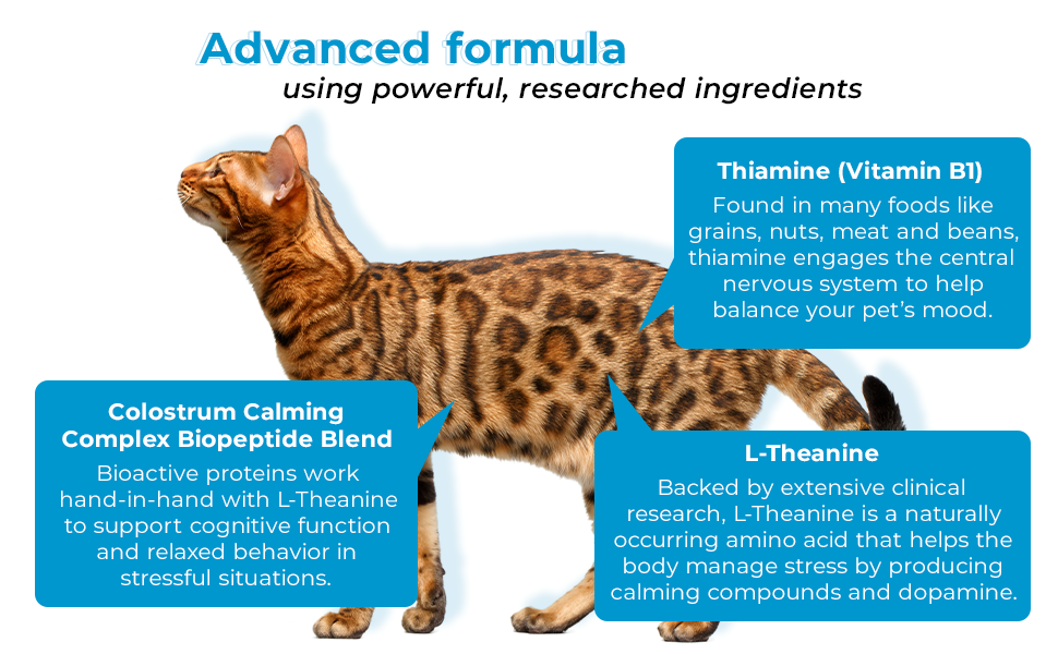 advanced formula for cats