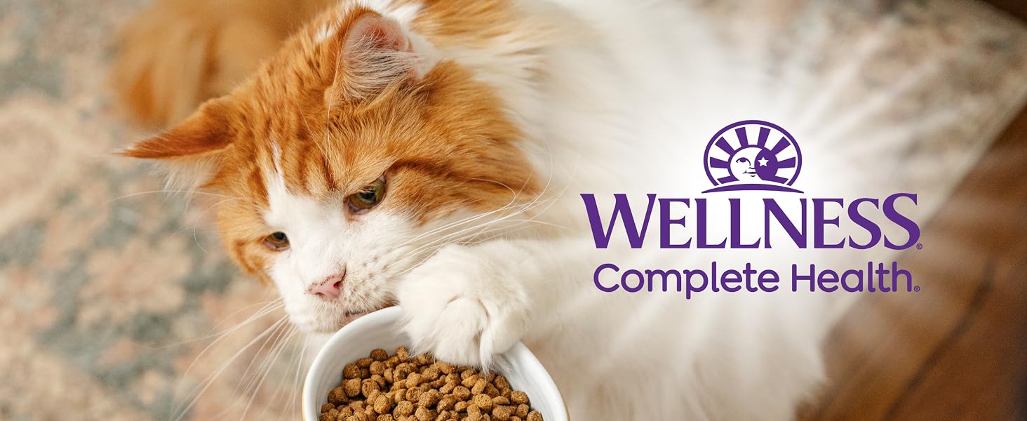 Wellness Complete Health Dry Cat Food