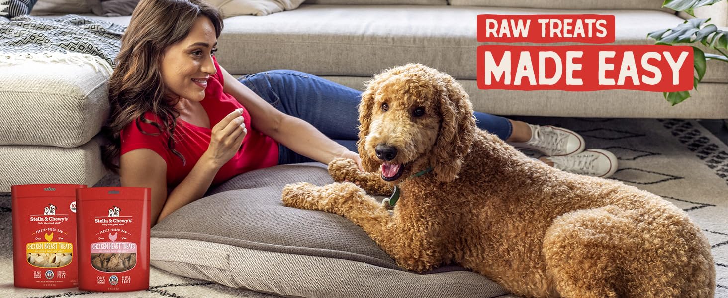 Raw Treats Made Easy