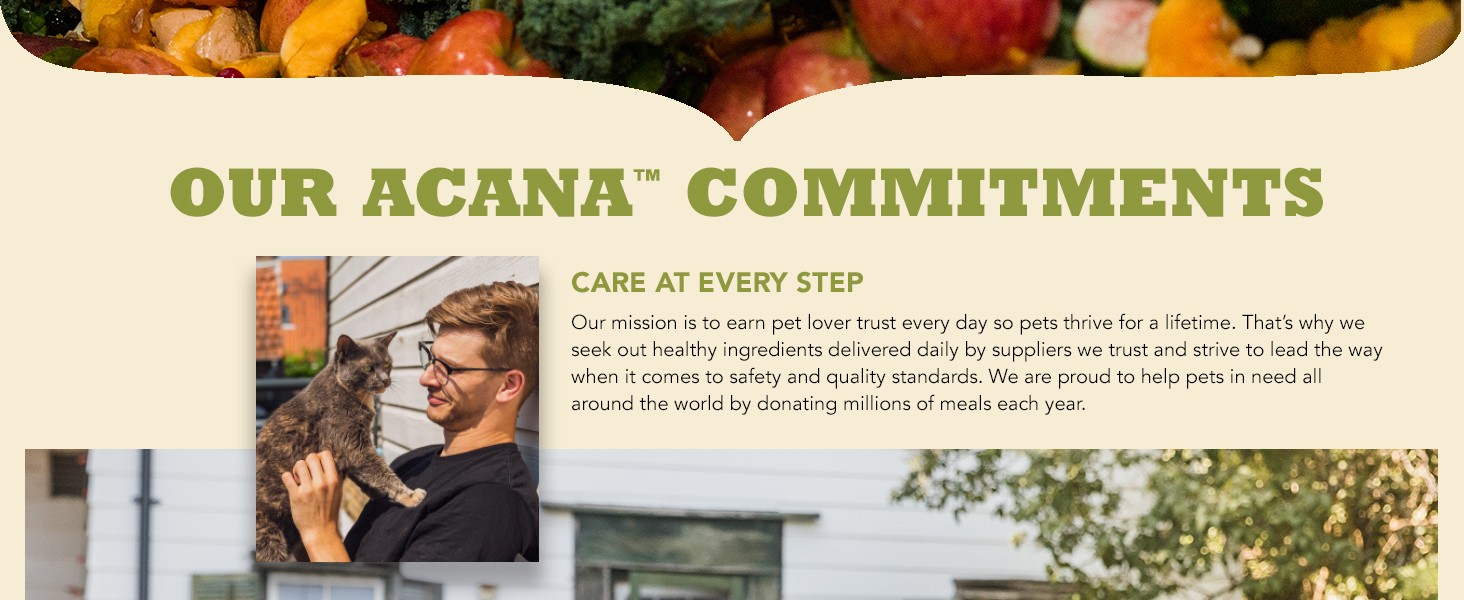 Care at Every Step