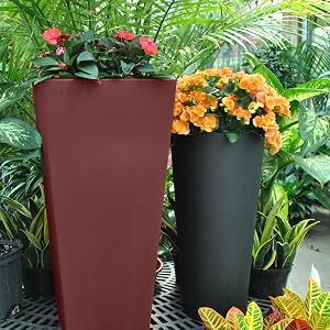 cosmopolitan planter lifestyle