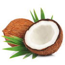 Pure Coconut Oil