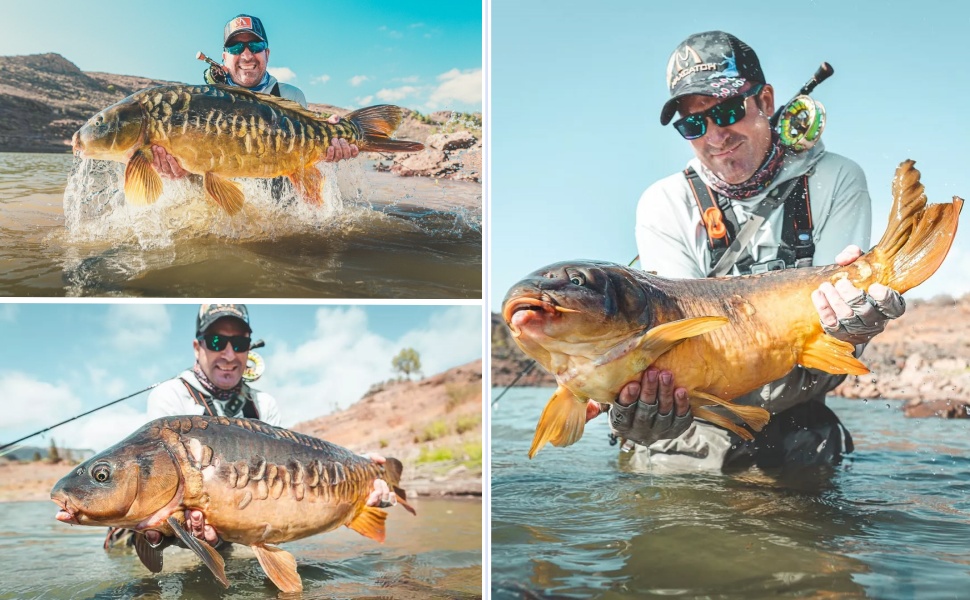 premier fly rods