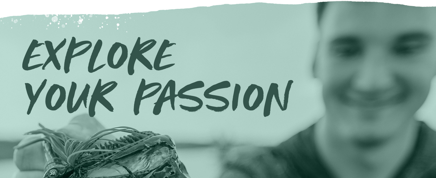 Explore your Passion