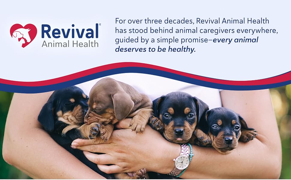 Person holding four puppies under Revival Animal Health logo/ Persona con cuatro cachorros bajo logo