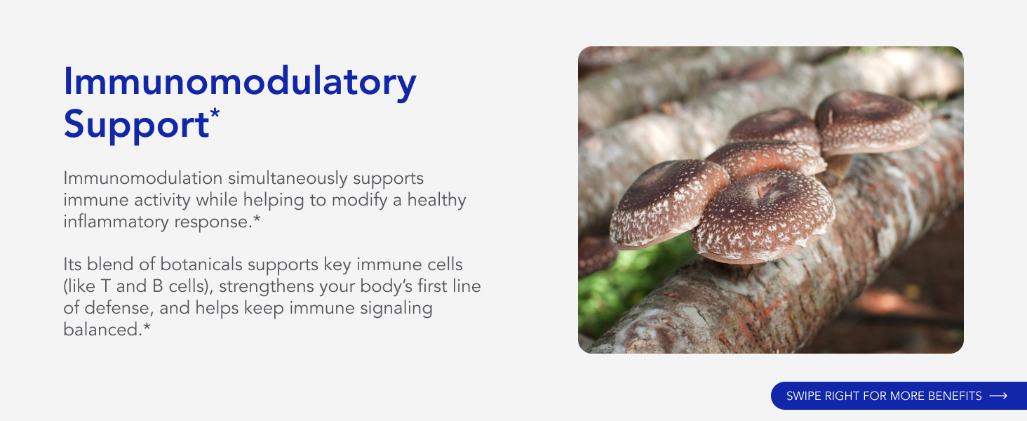 Broad-Spectrum Botanical Drops for Microbiome Balance Biofilm Buster Gut Detox Cleanse Routine