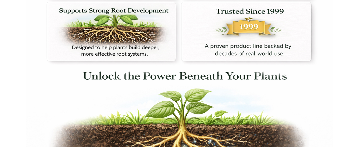 Plant Success Mycorrhizal Fungi